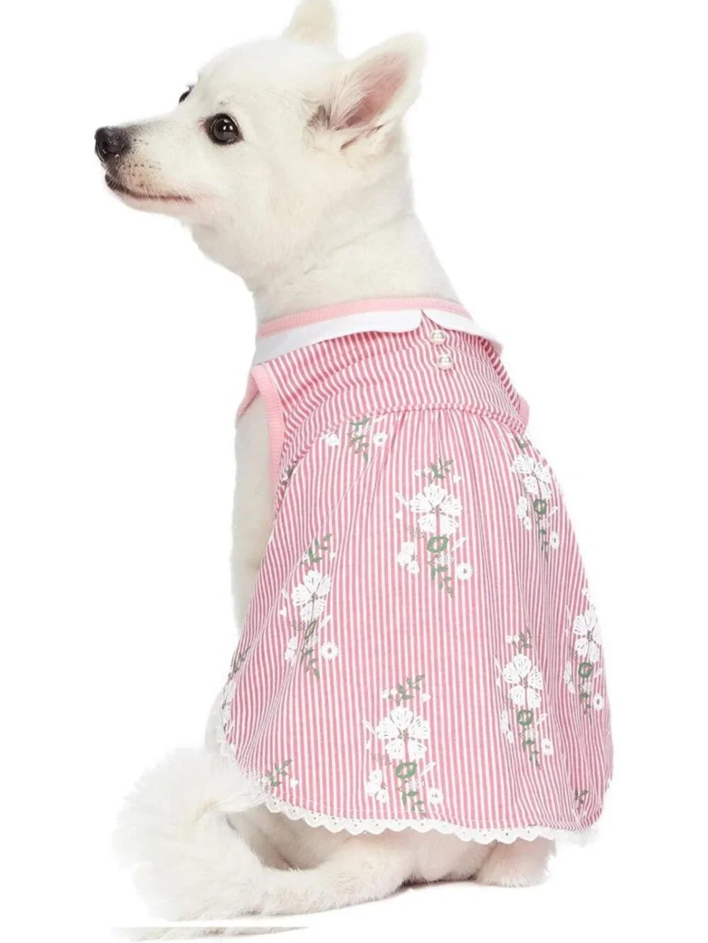 Floral Pink Stripe Dog Dress with Peter Pan Collar, 16